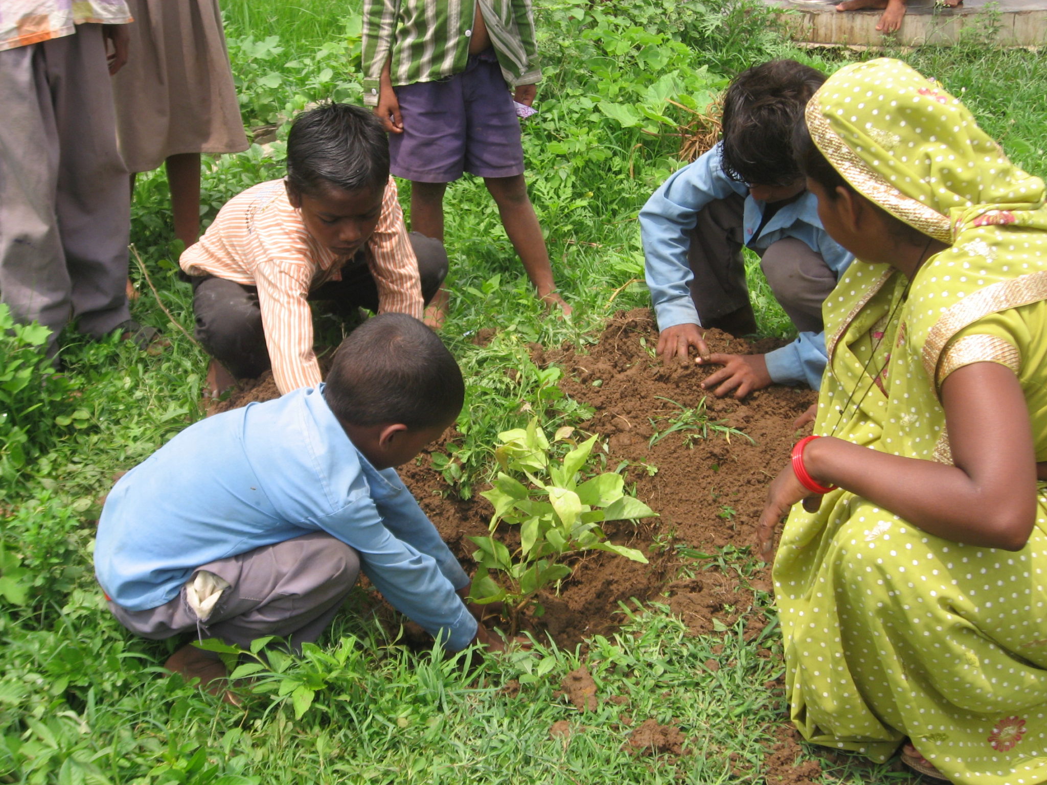 enfants indiens au potager