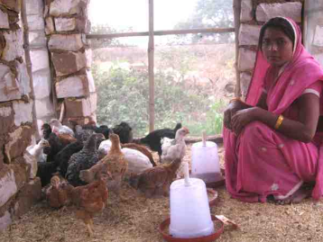 femme indienne dans son poulailler