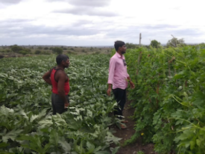 deux indiens dans un champ participent à la transition agricole