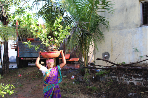 Femme indienne portant une plante