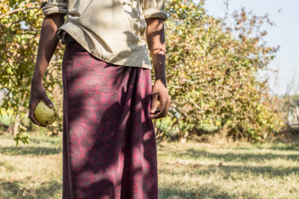 Indian in front of his guava plantation