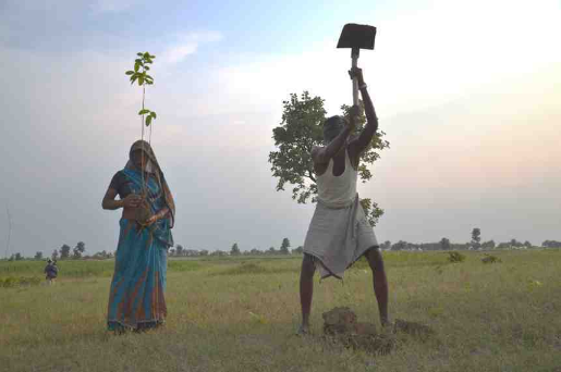 couple de villageois indiens plante un arbre