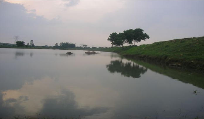 retention basin dug by NGO Rain Drop in India