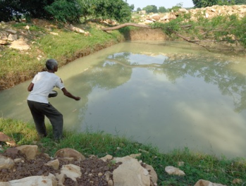 indian man praticing fish farming in a retention basin